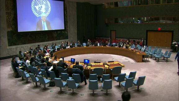 8578th Security Council Meeting: Situation in Middle East