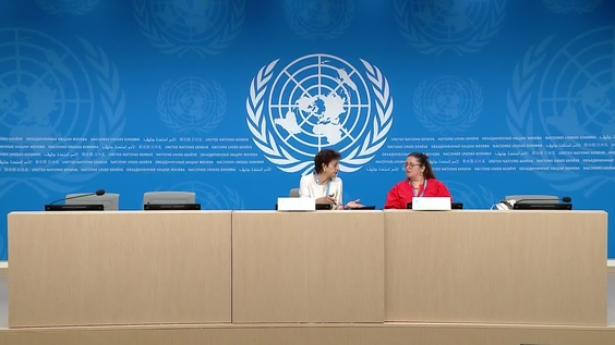 OHCHR/Special Procedures - Press Conference: Elections in the digital age