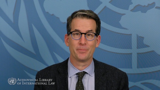 Duncan B. Hollis - Treaty Formation - Negotiation, Consent, Entry into Force and Provisional Application