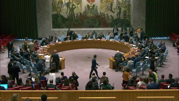 8058th Security Council Meeting: The situation in the Middle East
