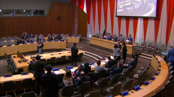 The Impact of Unilateralism and Bullying Practices on International Relations - Security Council Arria-formula meeting