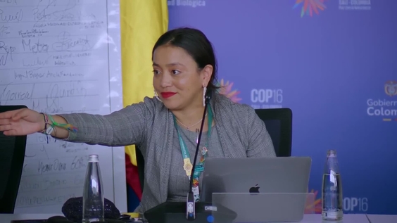 Press Conference: The Global Pact for Water and Biodiversity – United Nations Biodiversity Conference 2024