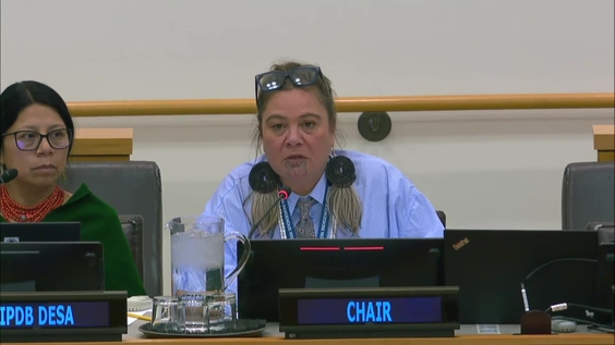 (6th meeting) UN Permanent Forum on Indigenous Issues, 25th session