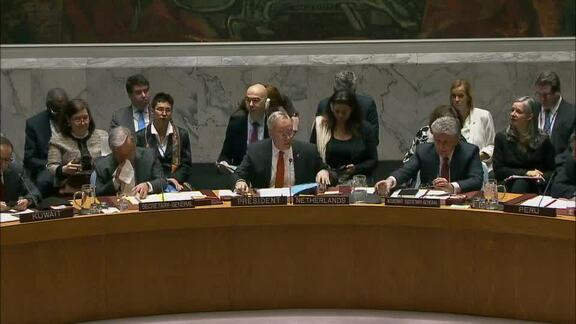 8201st Security Council Meeting: Situation in Middle East