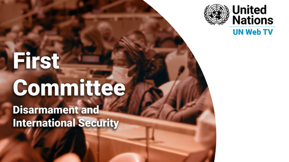 3rd Informal Virtual Meeting of the First Committee - General Assembly, 76th session