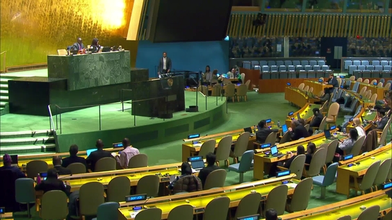 General Assembly: 66th Plenary meeting, 80th session