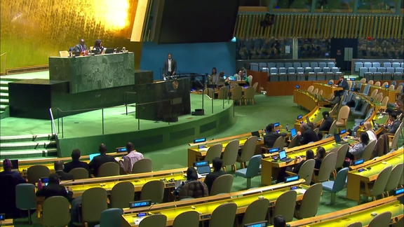 General Assembly: 66th Plenary meeting, 80th session