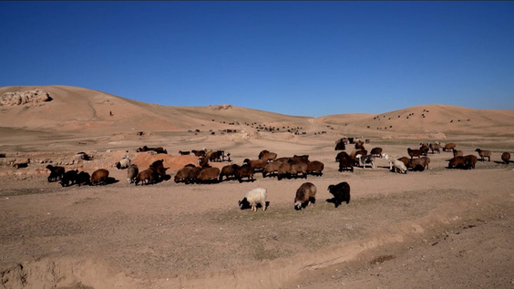 UN supports dam construction to help farmers in Afghanistan