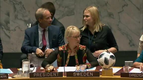 8306th Security Council Meeting: Peace and Security in Africa