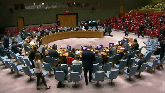 8284th Security Council Meeting: Situation in Central African Region
