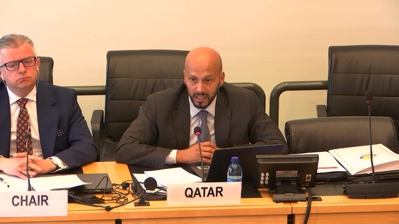 3064th Meeting, 112th Session, Committee on the Elimination of Racial Discrimination (CERD)