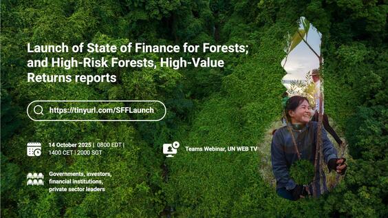 Launch of State of Finance for Forests Report & High-Risk Forests, High-Value Returns Report