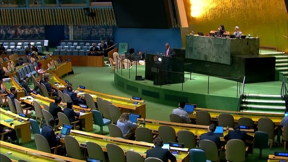 General Assembly: 95th plenary meeting, 80th session