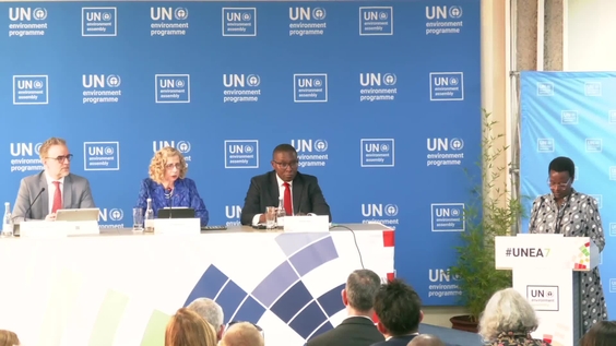 Launch of the UN Task Force on Critical Energy Transition Minerals ...