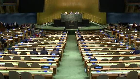 33rd Plenary Meeting of General Assembly 71st Session