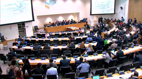 International Migration Review Forum 2026 - Round Table 1