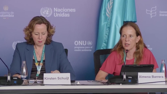 Press Conference: World Wildlife Fund: What options remain to unblock the deadlock on finance at COP16? – United Nations Biodiversity Conference 2024