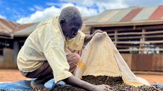 Documentary - "From Beans to Brew: A Journey into the Lives of Coffee Workers"