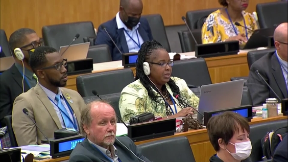 (3rd meeting) Twelfth session of the United Nations Committee of Experts on Global Geospatial Information Management (UN-GGIM)