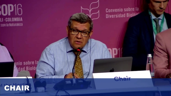 Working Group 2 (2nd meeting) at COP16 – United Nations Biodiversity Conference 2024