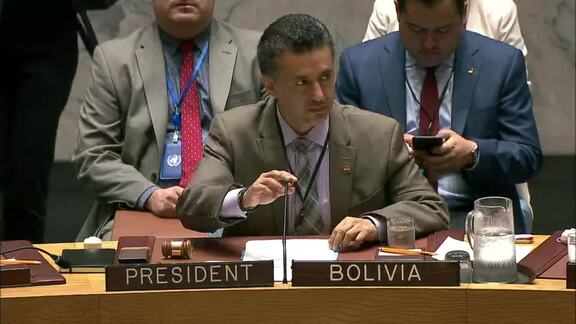 7975th Security Council Meeting: Situation in Mali