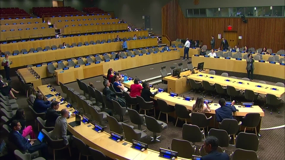 Economic and Social Council: 2nd plenary meeting, 2025 session