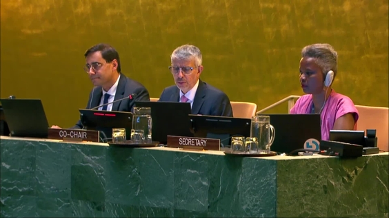 United Nations High-Level International Conference on "The Peaceful Settlement of the Question of Palestine and the Implementation of the Two-State Solution" - 5th plenary session (General debate, continued)