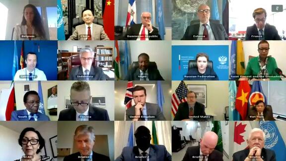 Peace and Security in Africa - Security Council Open VTC