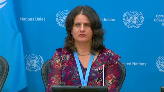 Press Conference: Chair of the Working Group on the use of mercenaries as a means of violating human rights and impeding the exercise of the rights of peoples to self-determination