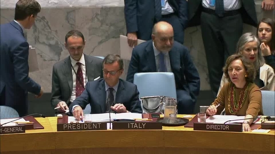 Операции Организации Объединенных Наций по поддержанию мира - Совет Безопасности, 8086-е заседание