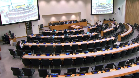(19th plenary meeting) Committee on Non-Governmental Organizations, 2026 resumed session, Economic and Social Council