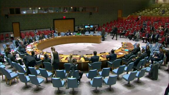 8660th Security Council Meeting: Situation in Libya