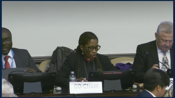 3rd Session, 21st meeting of the WG on Integrated Water Resources Management