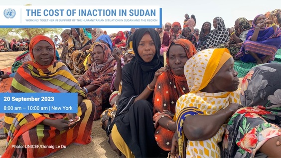 The Cost of Inaction in Sudan - Working together in support of the Humanitarian Situation in Sudan and the Region