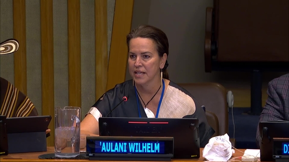 (10th meeting) UN Permanent Forum on Indigenous Issues, 25th session