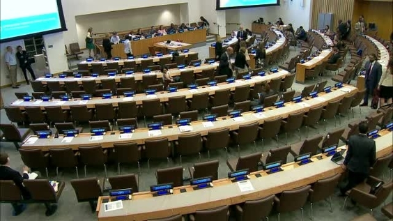 3rd meeting, Fifth working session, Open-ended Working Group on Aeging (30 July- 1 August)- General Assembly