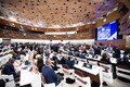 Plenary debates – Afternoon sitting