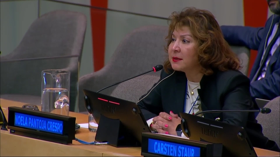 2025 High-level Meeting of the Development Cooperation Forum - Economic and Social Council, 9th plenary meeting, 2025 session