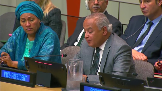 Economic and Social Council: 19th plenary meeting - 2024 ECOSOC Operational Activities Segment