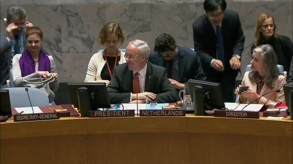 8202nd Security Council Meeting: Situation in Sudan and South Sudan