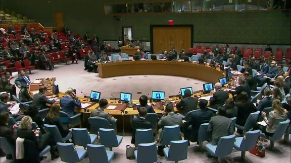8179th Security Council Meeting: Situation in Myanmar