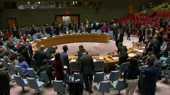 8082nd Security Council Meeting: Children and Armed Conflict Part 1