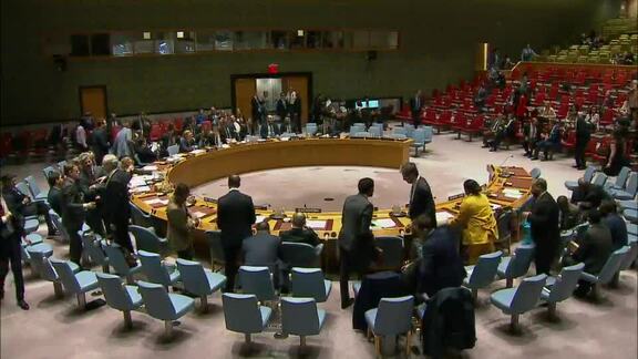 8246th Security Council Meeting: Situation Concerning Western Sahara