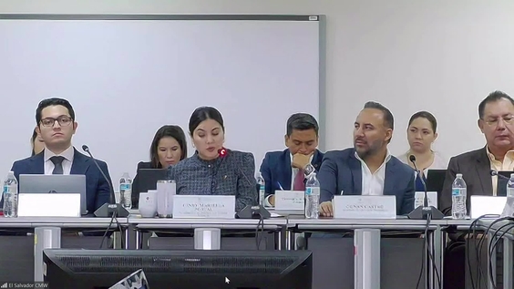522nd Meeting, 36th Session, Committee on Migrant Workers (CMW)