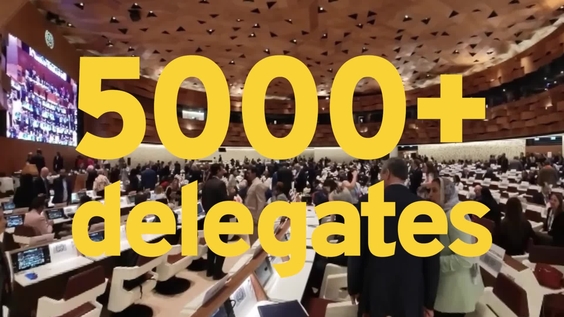 114th International Labour Conference