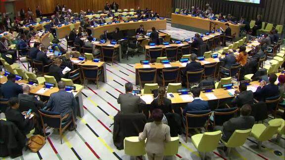 ECOSOC Special Meeting on Cyclone Response