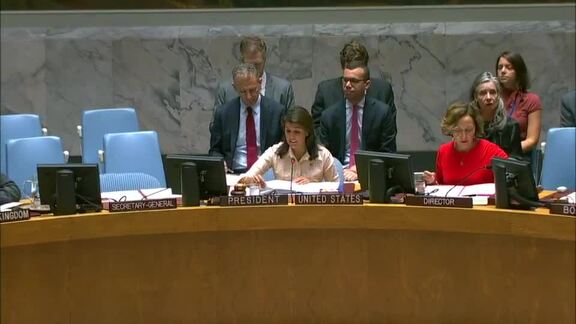 8350th Security Council Meeting: Situation in Libya