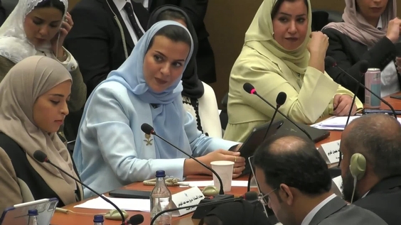 2094th Meeting, 89th Session, Committee on the Elimination of Discrimination against Women (CEDAW)