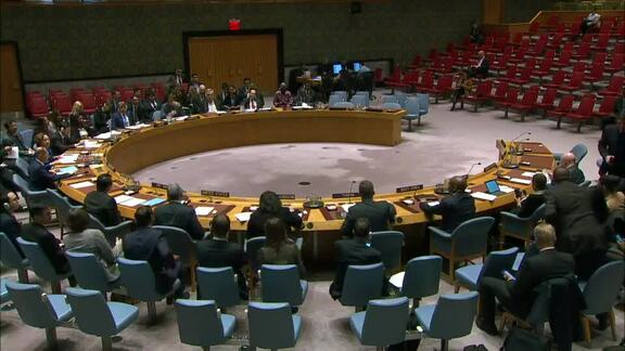 Peace Consolidation in West Africa - 8720th Security Council Meeting