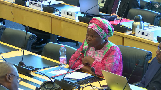 2251st Meeting, 84th Session, Committee against Torture (CAT)